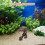 Décoration en bois pour aquarium, arbre avec base stable 4