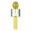 Bluetooth Karaoke Microphone Toy for Kids Gold 1
