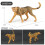 Set di 12 peluche di animali selvatici 1