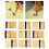 Rice Paper Handmade Xuan Paper with Grids 50 Sheets 2