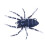 Leurre de pêche Phantom Spider, corps creux, surface, 7,6 cm (3 pouces) 1