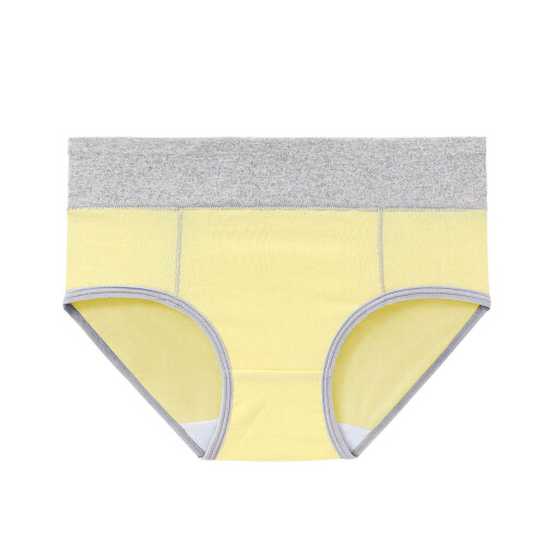 Cotton High Waisted Women's Underwear 10 Pack 2