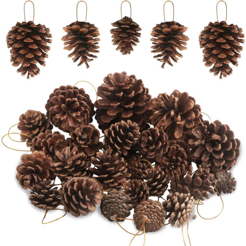 Triani Pine Cones Natural Brown 25 Pcs