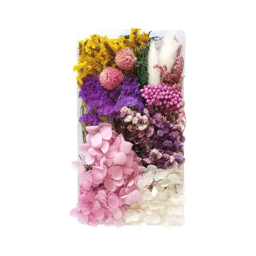 Dried Flowers Mixed Colors Pressed Natural 100g