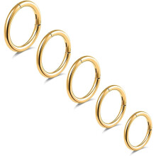 G23 Titanium Nose Rings 16G-20G Hinged Clicker Hoops 5 Pcs