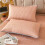 Pillow Protectors Zipper Waterproof Bed Bug Proof 30x20 In 1