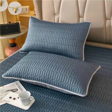 Pillow Protectors Waterproof Zippered Encasement 30x20 In