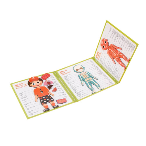 Magnetic Human Anatomy Book Educational Resource 1 1
