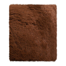 Machine Washable Area Rug 2 ft x 4 ft Non-Slip Backing