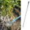 Stainless Steel Peanut Picker and Egg Grasper 107cm 8