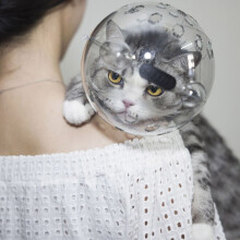 Breathable Cat Muzzle for Grooming Bathing and Nail Clipping