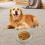 Comedero de cerámica de 355 ml (12 oz) para perros. 3