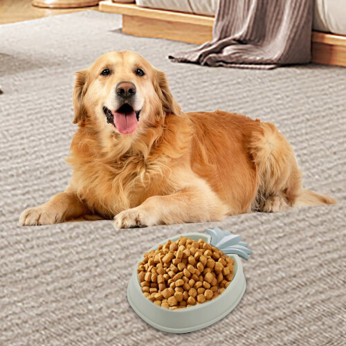 Dog slow feed bowl stainless steel1.5L 2