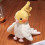 Kawaii Papagei Plüschtier 20 cm 2
