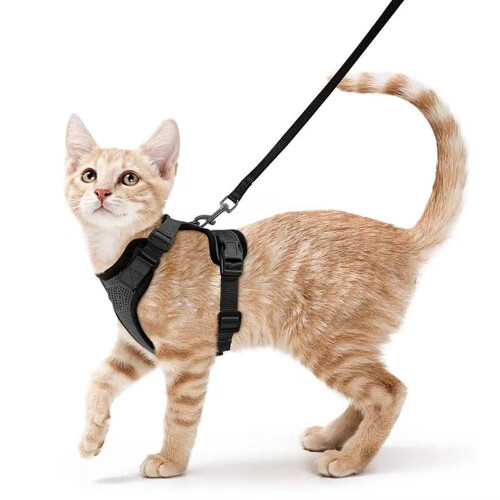 Cat Harness with Leash Adjustable Reflective Set for Small