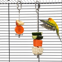 Stainless Steel Bird Food Holder Skewer Set for Parrots and
