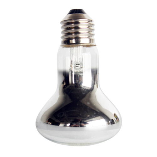 Žárovka pro plazy Basking Spot 40W/60W pro ještěrky a želvy