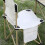 Portable Folding Camp Chair with Mesh Pocket and Storage Bag 5