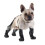 Waterproof Dog Boots Anti-Slip Adjustable All-Year Use 1