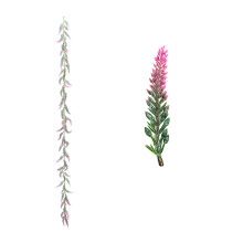 Artificial Lavender Garland 1.8m Multicolour