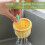 Cactus sink draining basket automatic strainer for standard 4