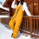 Women's Insulated Ski Bib Overalls Waterproof Windproof 6