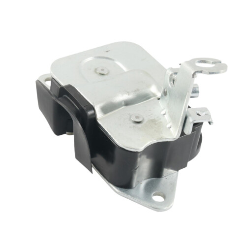 Tailgate Lock Actuator for 3500 Rear Door Lower Latch