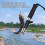 Stainless Steel Fish Clamp 304 SS Ergonomic Lightweight 5