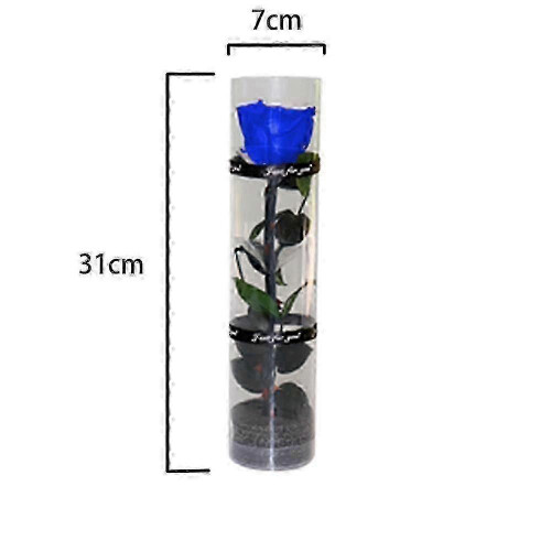 Rose éternelle préservée, véritable fleur éternelle dans un élégant coffret cadeau, fleur décorative longue durée pour 1
