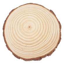 Garden Stepping Stone Beige Round Wood 1 Pack