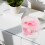 Pink Hamster Carrier Rectangular Plastic 1 Pack 5