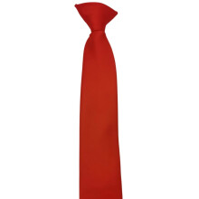 Men's and Women's Polyester Pre-Tied Necktie Adjustable