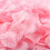 Silk Rose Petals Pink Wedding Decor 100-Pack 1