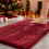 Modest Rug από μικροΐνες, αντιολισθητικό, πλενόμενο χαλάκι πόρτας σκύλου 1