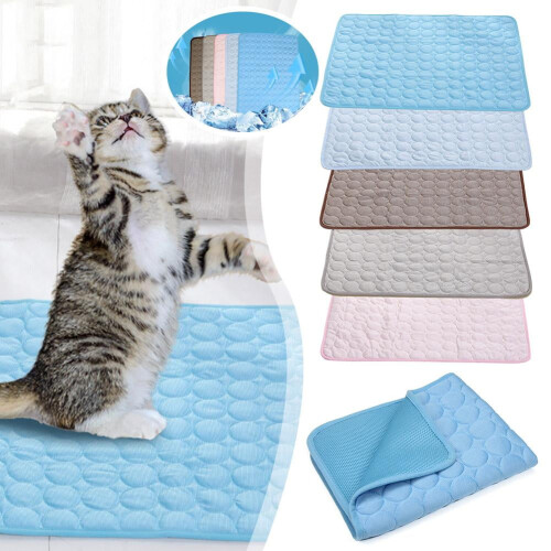Kølemåtte til hunde og katte, 30 x 20 tommer