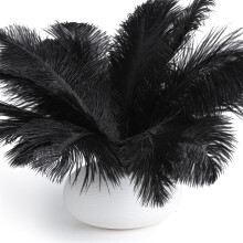 Ostrich Feathers Centerpiece Black 20 pcs 8-10 inch