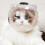 Cat Muzzle L Size Breathable Adjustable Bubble Helmet 1