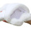 Soft Plush Bunny Hand Puppet 30 cm for Kids 3