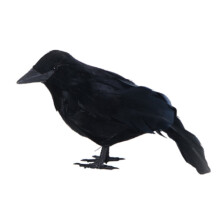 Halloween Crow Figurine Realistic DIY Desktop Bird Craft