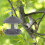 Hanging Bird Feeder Grey Front Porch 1 Pack 7.9 Inch 5