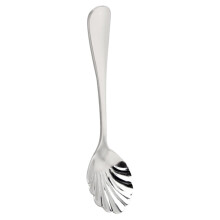 Stainless Steel Shell-Shaped Sugar Spoon 1 Piece