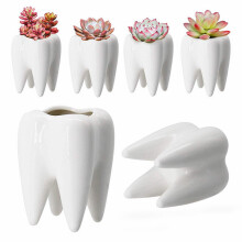 Jardinière en résine en forme de cochon mignon (20 x 7 x 4 cm), idéale pour les plantes grasses et autres succulentes. Vase décoratif compatible