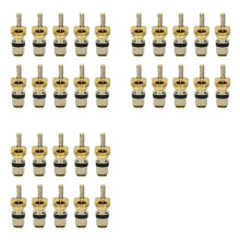 30pc Air Conditioning Charge Cold Medium Interface Valve Core for Elysee Beverly