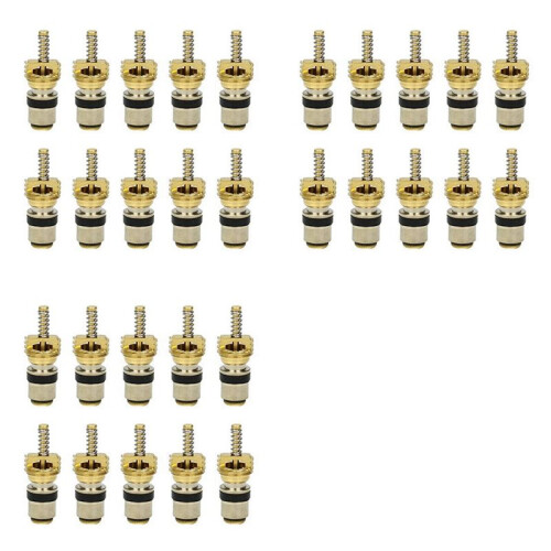30pc Air Conditioning Charge Cold Medium Interface Valve Core for  Elysee  Beverly