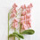 Crochet Flowers Bouquet Home Decor 1 Piece 1