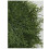 Σουπλά από ψεύτικο κέδρο, στρογγυλά, Cedar Greenery2025 8