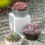 Linjieee terrakottaplanter stor utomhus 40 cm 7