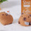 Capybara nålefiltning startsæt til begyndere 8