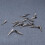 Duckbill Hair Clips Silver 80 Pcs 8