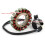 Statormagneet voor HiSUN UTV 4,5 inch 2015-2017 2